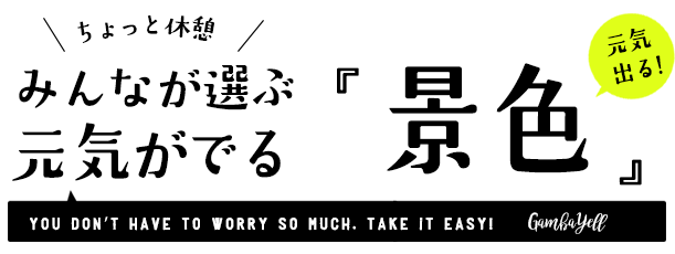 元気が出る景色