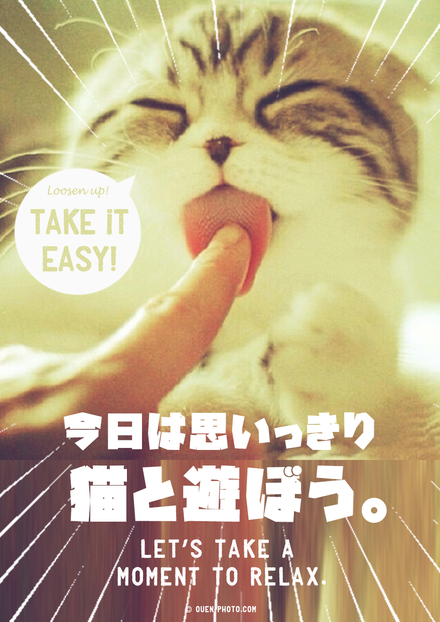 今日は思いっきり猫と遊ぼう。/応援画像NO,122