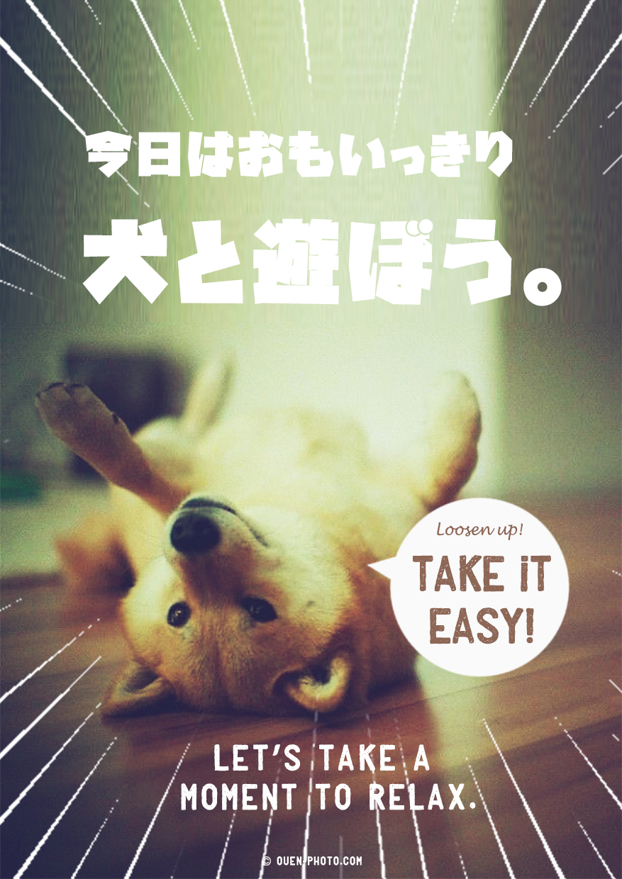 今日は思いっきり犬と遊ぼう。/応援画像NO,123