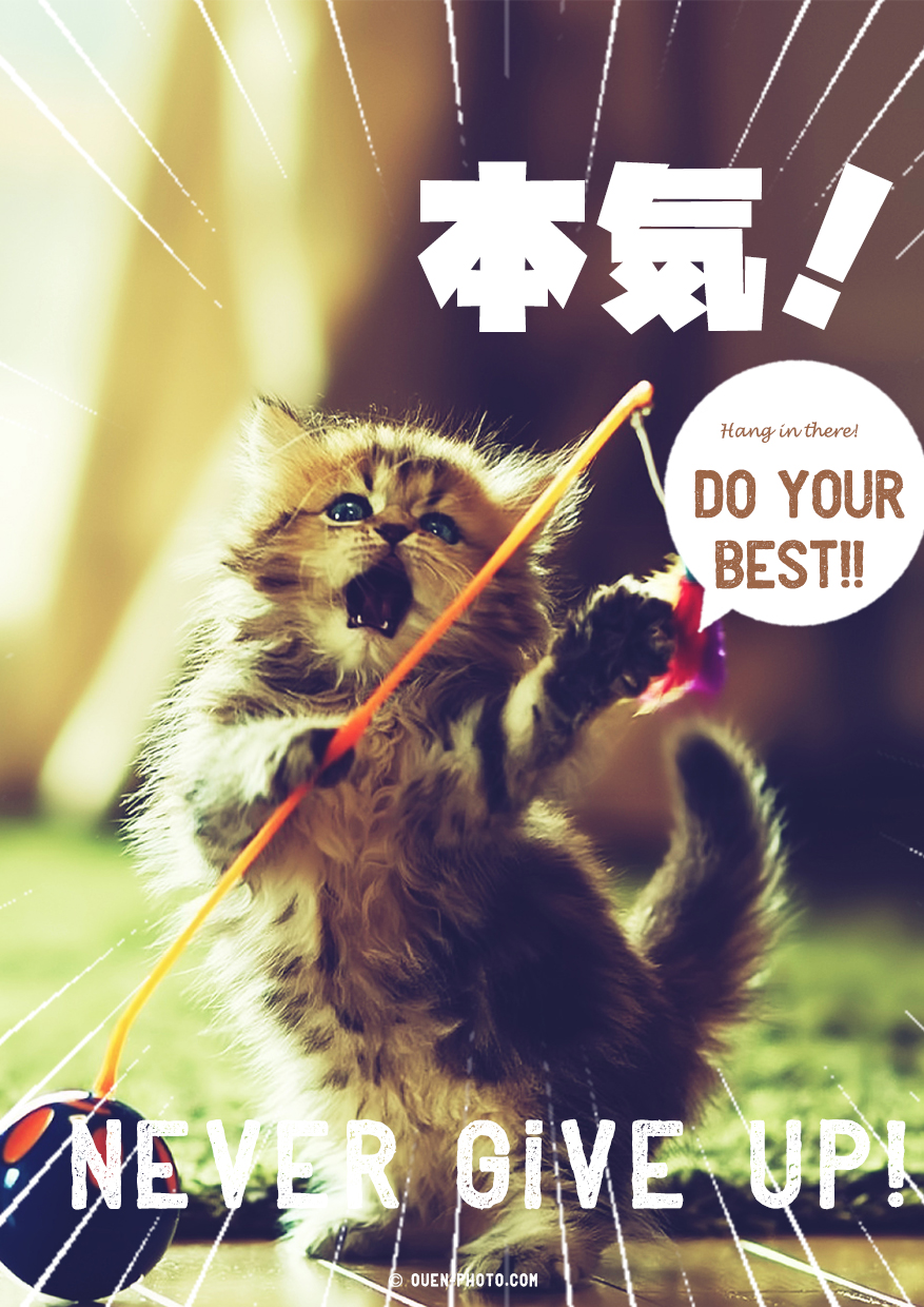おもしろ応援画像No,162