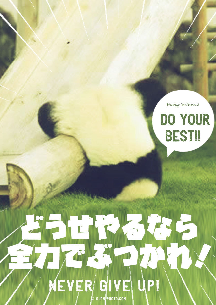 どうせやるなら、全力でぶつかれ！/応援画像NO,177