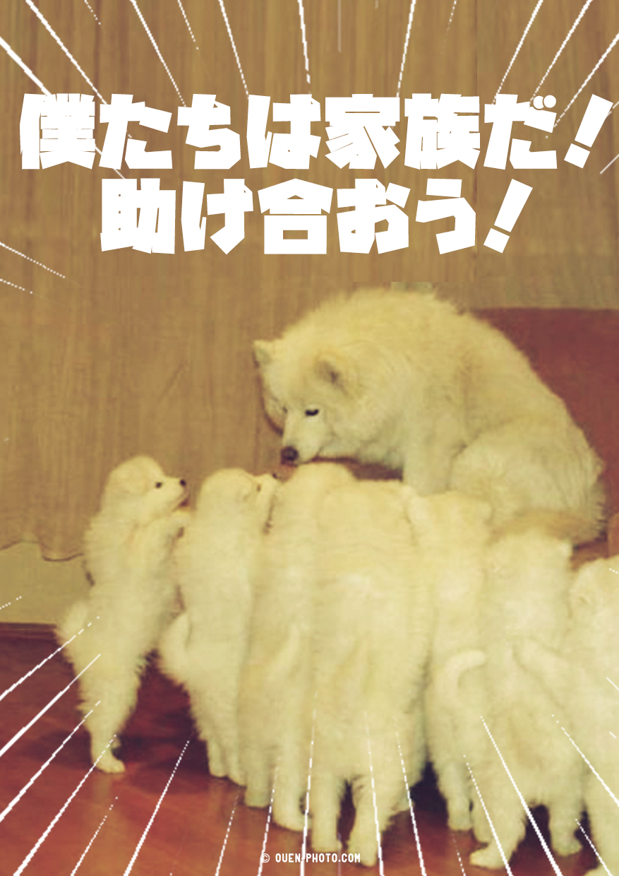 僕たちは家族だ！助け合おう！/応援画像NO,195