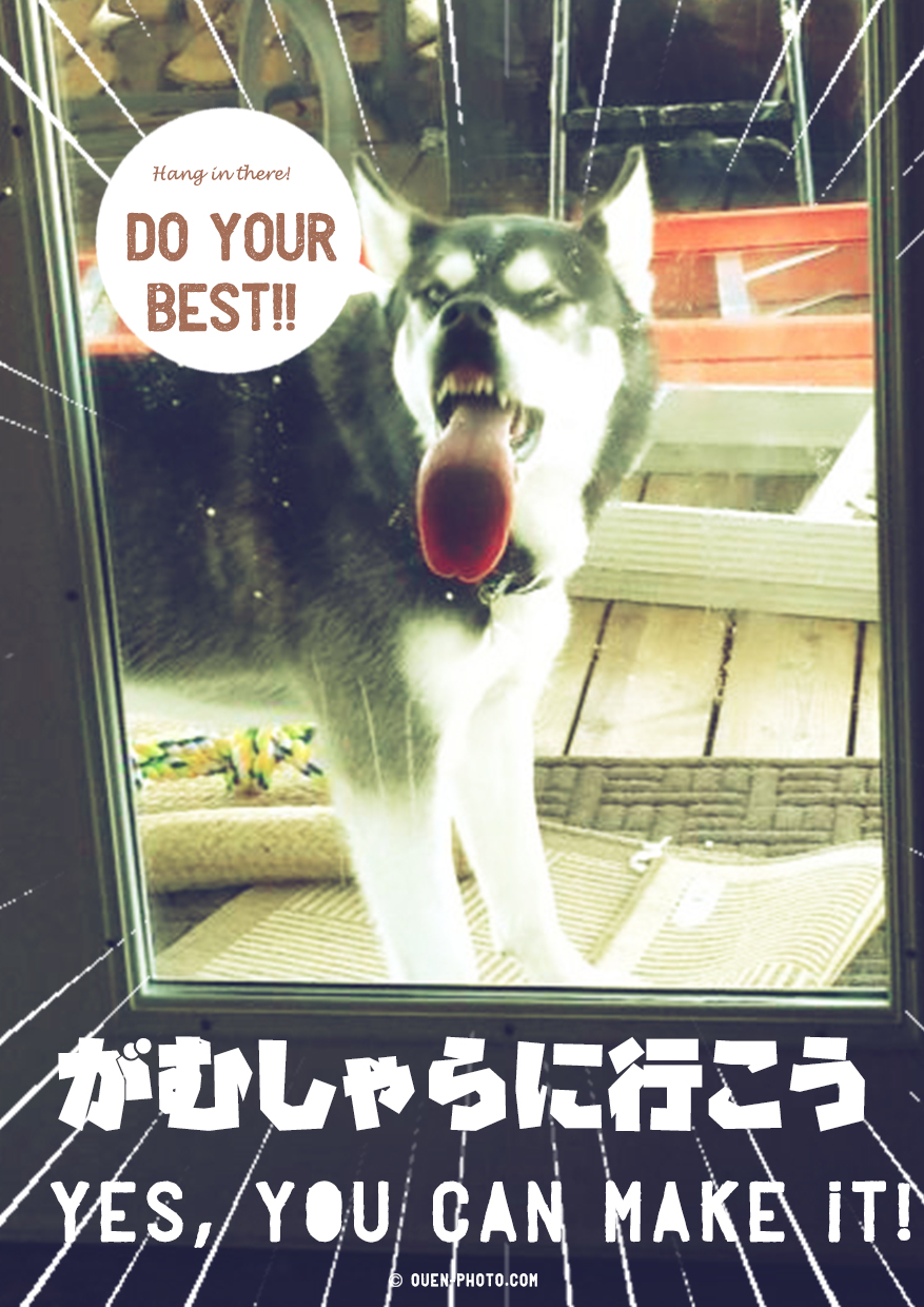 おもしろ応援画像No,81