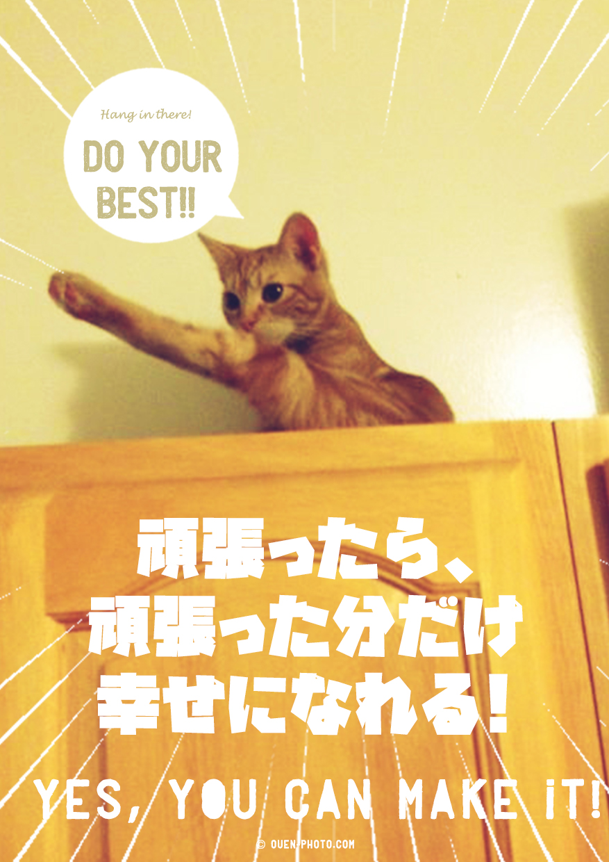おもしろ応援画像No,82